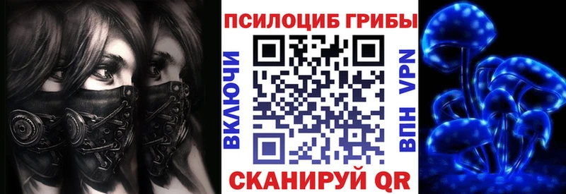 Псилоцибиновые грибы прущие грибы  Купить  Туринск 