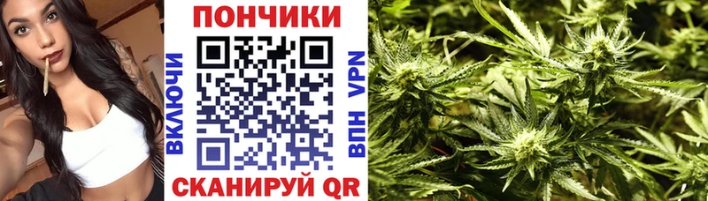 Купить  Туринск  Марихуана MAZAR 